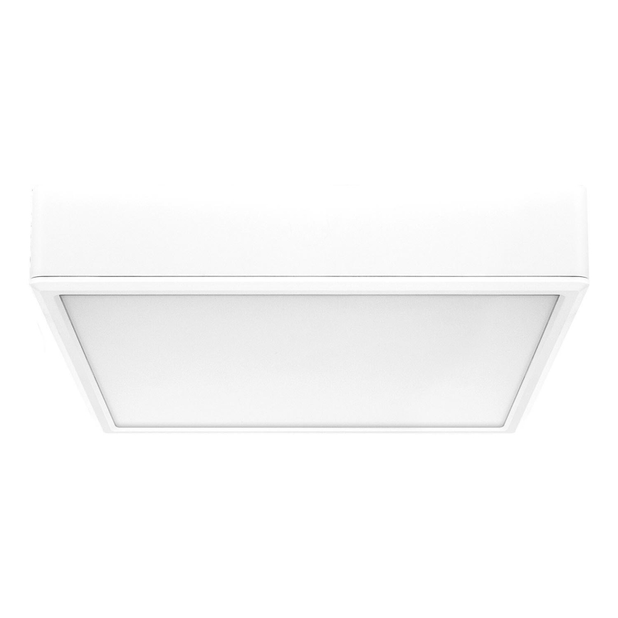 Rabalux - Plafón LED LED/22W/230V 3000/4000/6000K 21x21 cm blanco