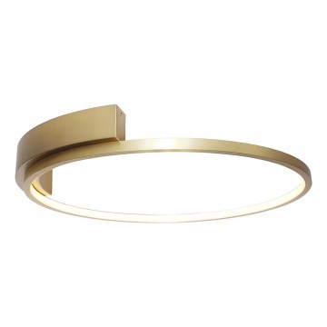 Rabalux - Plafón LED LED/23W/230V