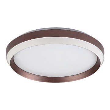 Rabalux - Plafón LED LED/24W/230V 3000K