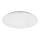 Rabalux - Plafón LED LED/24W/230V 4000K 38 cm