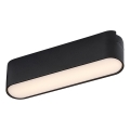 Rabalux - Plafón LED para sistema de raíles monofásico LED/6W/230V 3000K 11,5 cm negro