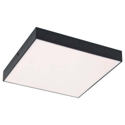 Rabalux - Plafón LED Regulable LED/18W/230V 3000-6000K IP44 negro