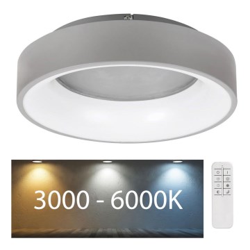 Rabalux - Plafón LED regulable LED/24W/230V redondeado 3000-6000K + control remoto