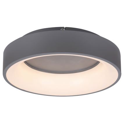 Rabalux - Plafón LED regulable LED/24W/230V redondeado 3000-6000K + control remoto