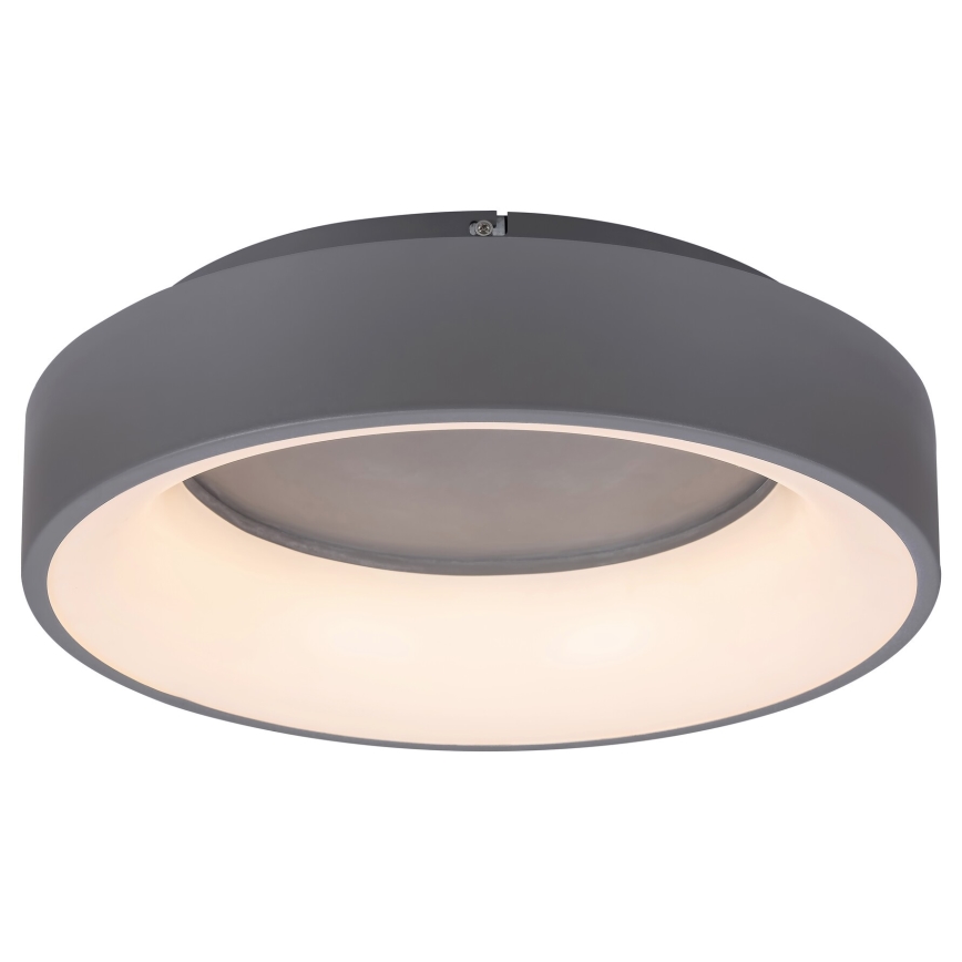 Rabalux - Plafón LED regulable LED/24W/230V redondeado 3000-6000K + control remoto