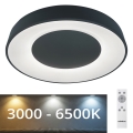 Rabalux - Plafón LED regulable LED/38W/230V negro 3000-6500K + CR