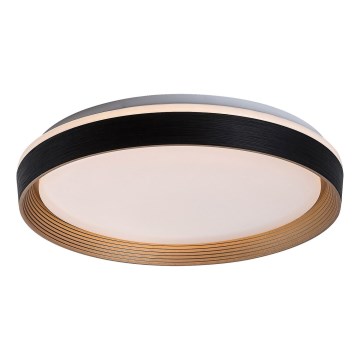 Rabalux - Plafón LED regulable LED/48W/230V 3000-6500K + control remoto