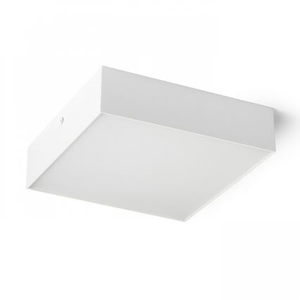 RED - Design Rendl - R13487 - Plafón LED LARISA LED/20W/230V blanco