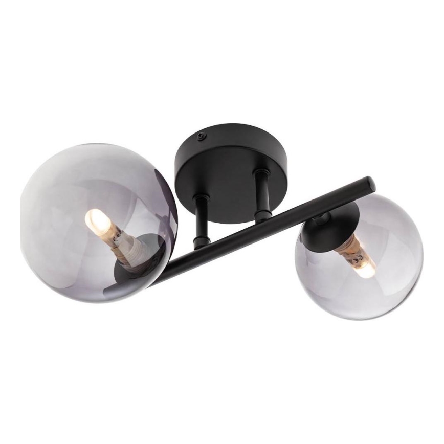 Redo 01-3987 - Lámpara de techo ASTRA 2xG9/8W/230V negro
