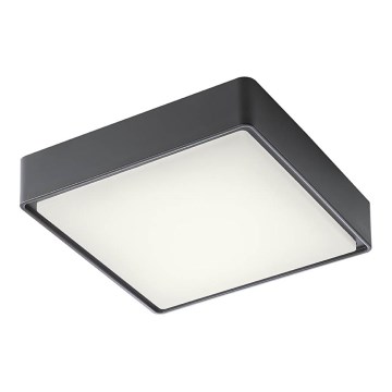 Redo 90157 - Plafón LED de exterior MARINA LED/12W/230V 22x22 cm IP65 antracita