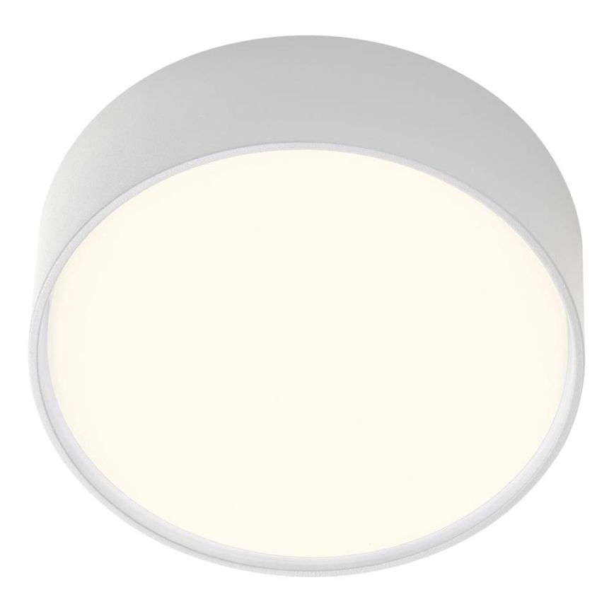 Redo 90494 - Plafón LED de exterior URANIA LED/10W/230V diá. 16 cm 3000K IP65 blanco