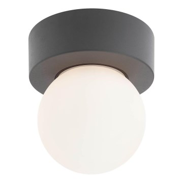 Redo 90641 - Plafón de exterior BULK 1xE27/28W/230V IP44 antracita