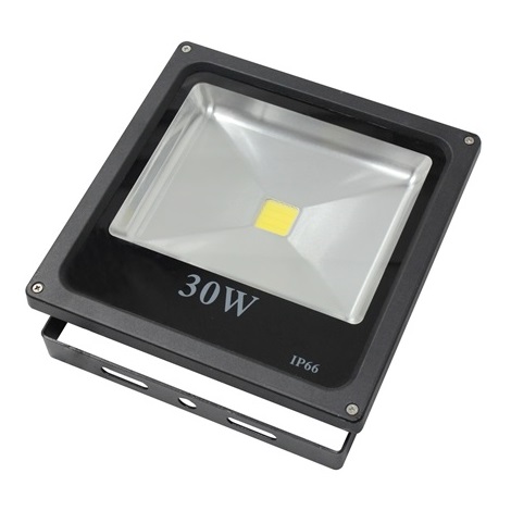 Reflector LED 1xLED/30W IP65