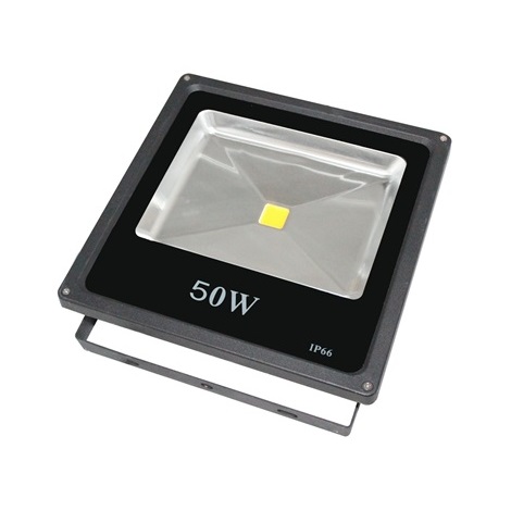 Reflector LED 1xLED/50W IP65