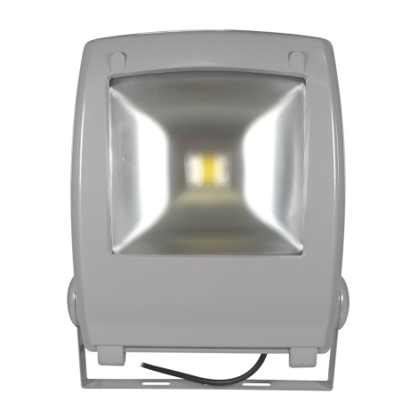 Reflector LED FLOOD FE-N LED/50W/230V IP65