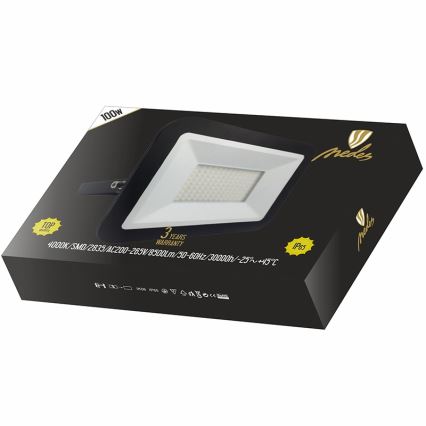 Reflector LED LED/100W/230V IP65