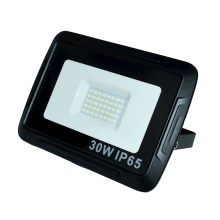 Reflector LED LED/30W/230V IP65 6000K