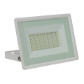 Reflector LED para exteriores NOCTIS LUX 3 LED/30W/230V 3000K IP65 blanco