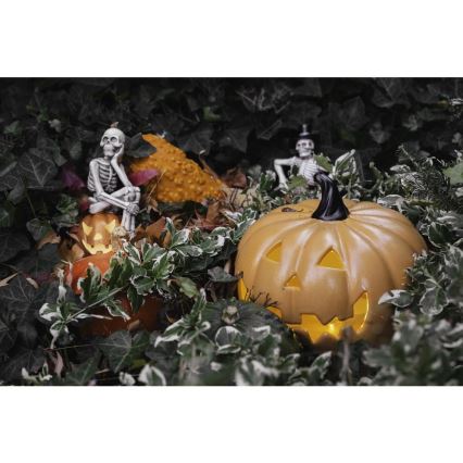 Decoración LED HALLOWEEN LED/2xLR44/blanco cálido esqueleto en una calabaza de resina