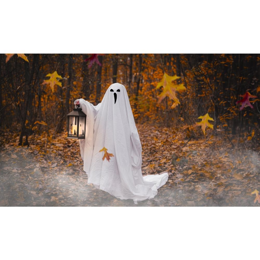 Decoración LED HALLOWEEN LED/3xAAA/linterna blanco cálido