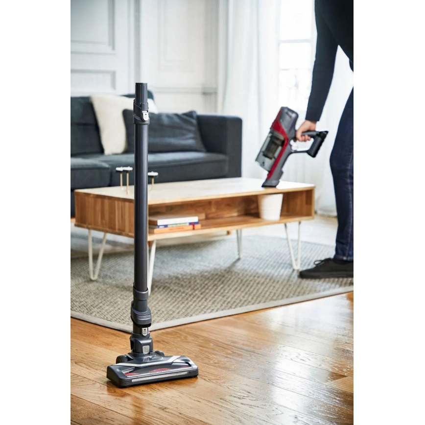 Rowenta - Aspirador de varilla X-PERT 6.60 ANIMAL 3IN1 100W gris/rojo