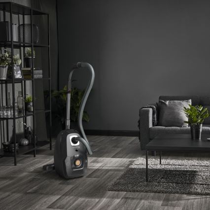 Rowenta - Aspiradora con bolsa VERDE FORCE EFFITECH ECO TOTAL CLEAN 400W/230V negro