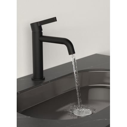Sapho - Grifo de lavabo ICONIC 18,7 cm mate negro