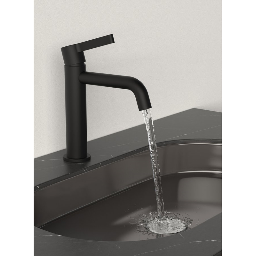 Sapho - Grifo de lavabo ICONIC 18,7 cm mate negro