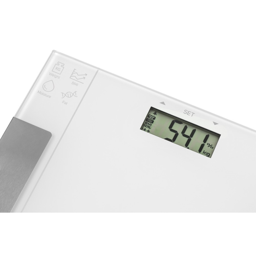 Sencor - Báscula personal de fitness inteligente 1xCR2032 blanco