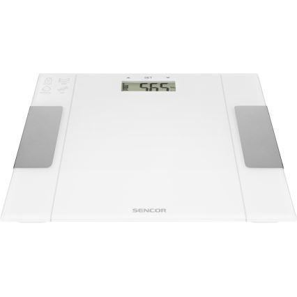 Sencor - Báscula personal de fitness inteligente 1xCR2032 blanco