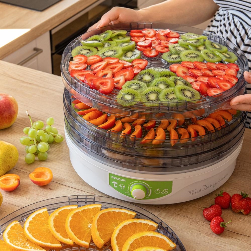 Sencor - Secador de alimentos con termorregulación 250W/230V