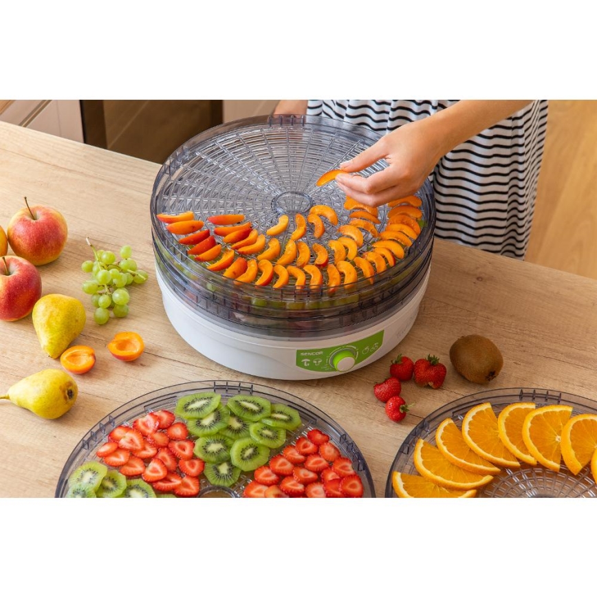 Sencor - Secador de alimentos con termorregulación 250W/230V