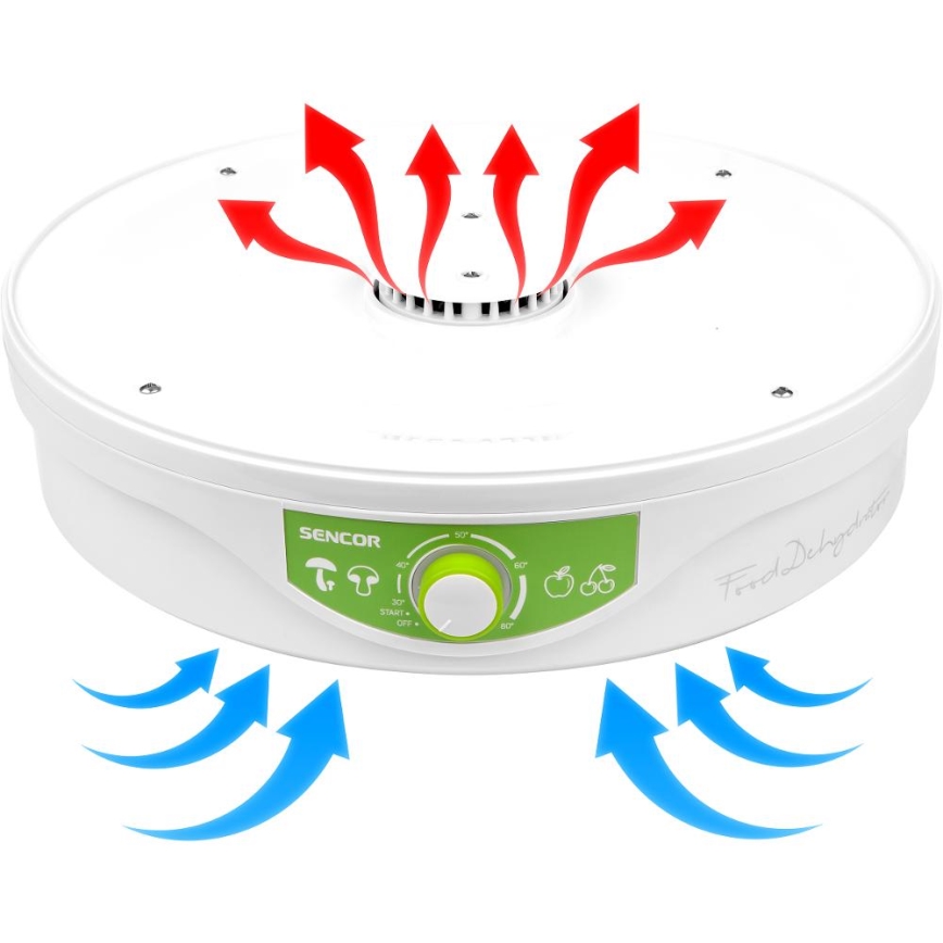 Sencor - Secador de alimentos con termorregulación 250W/230V