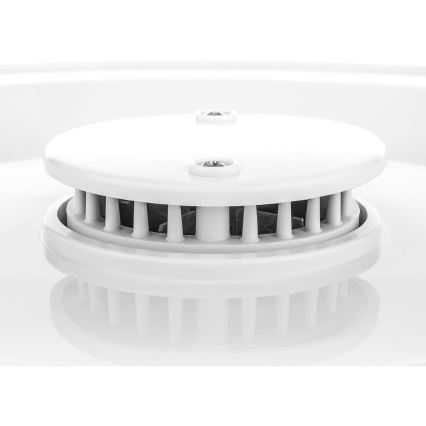 Sencor - Secador de alimentos con termorregulación 250W/230V