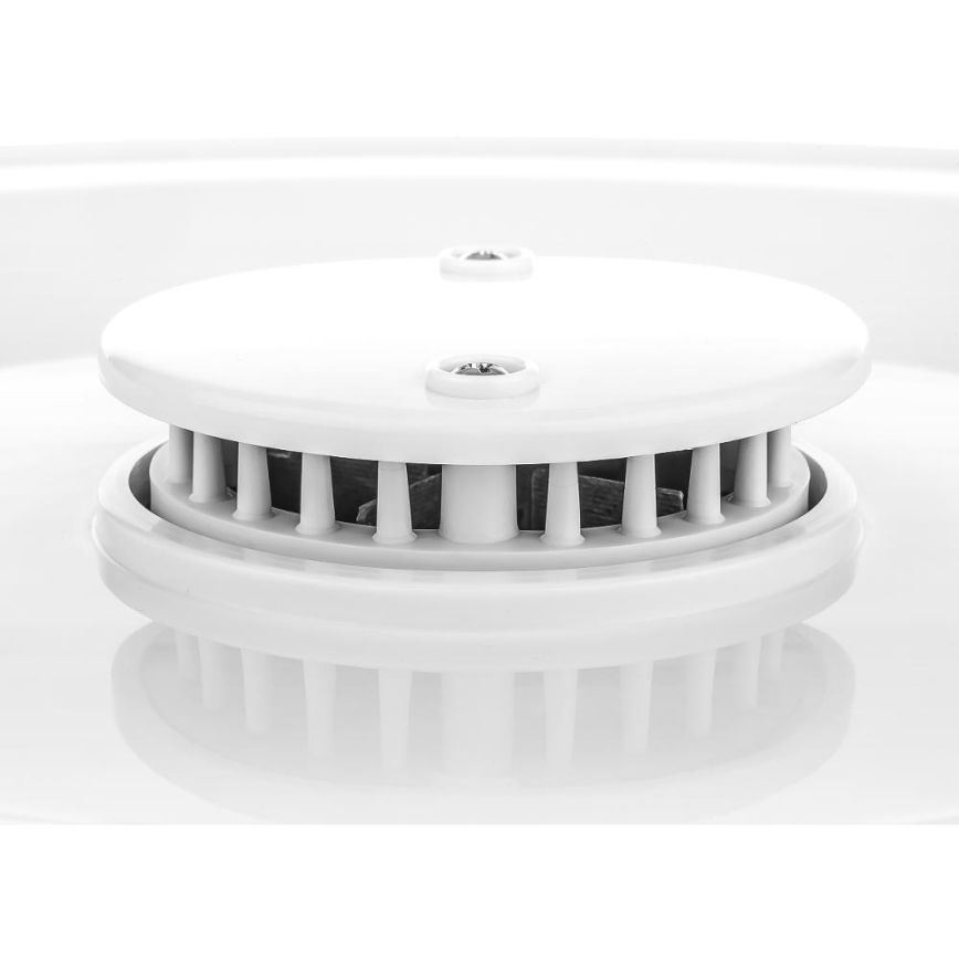 Sencor - Secador de alimentos con termorregulación 250W/230V
