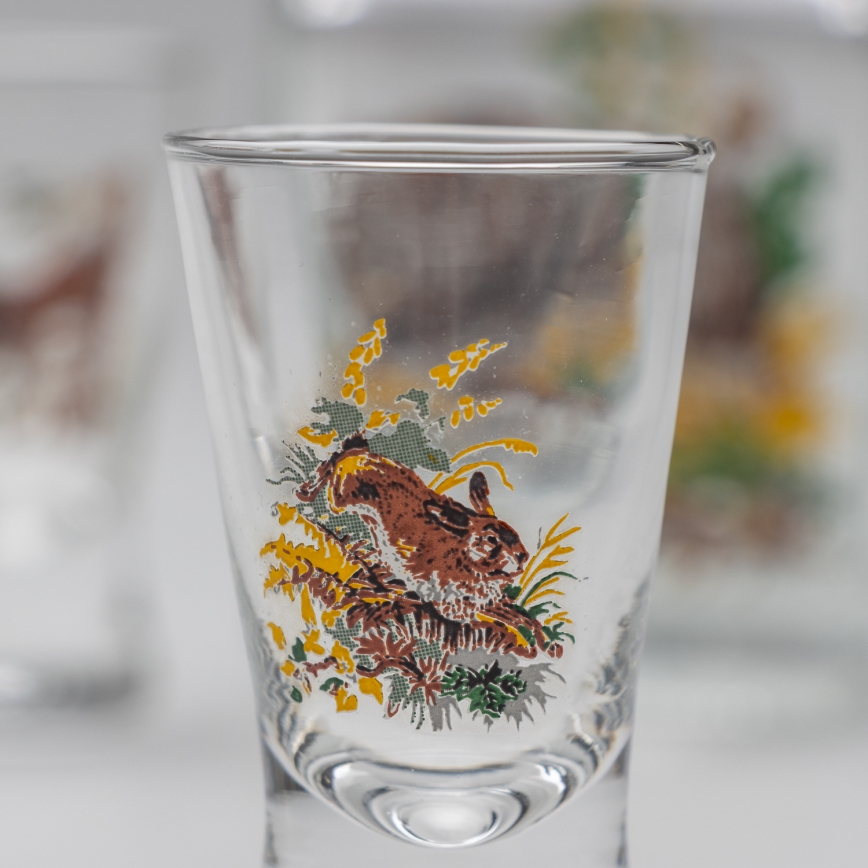 Set 1x botella de vidrio y 2x Vaso de chupito transparente con un motivo de jabalí
