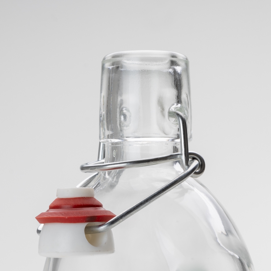 Set 1x Botella de vidrio y 2x vasos para chupitos transparentes con motivo de ciruelas