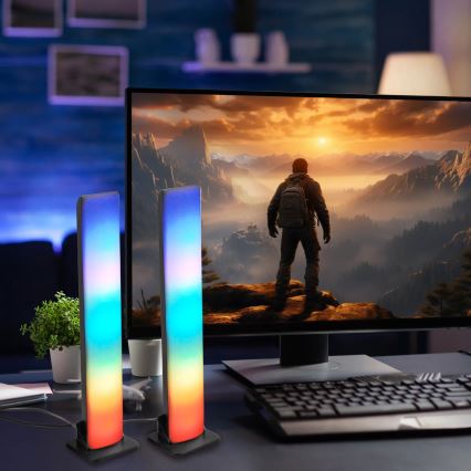 SET 2x LED RGB Lámpara de mesa regulable LED/5W/5V + control remoto
