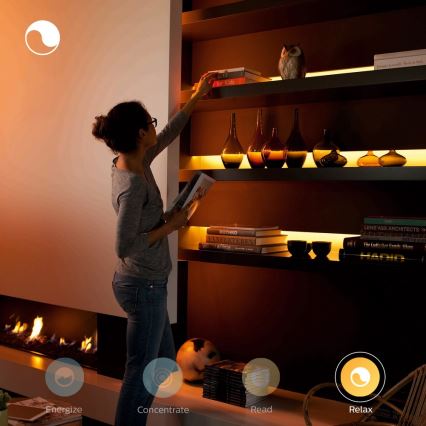 Set básico Cinta LED Philips Hue LightStrips 2m