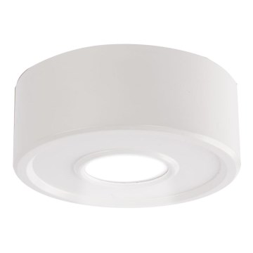 Shilo - Plafón LED LED/10W/230V 3000K CRI 90 blanco