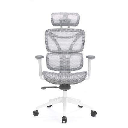 Silla de oficina ergonómica LEVANO gris/blanco/negro