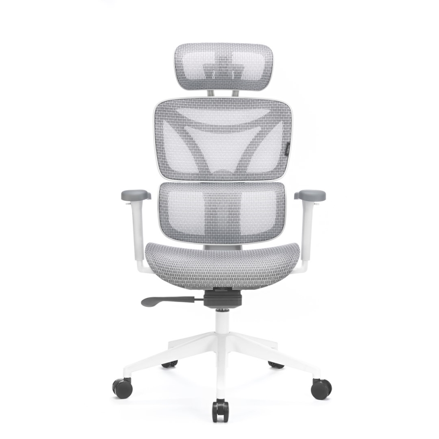 Silla de oficina ergonómica LEVANO gris/blanco/negro