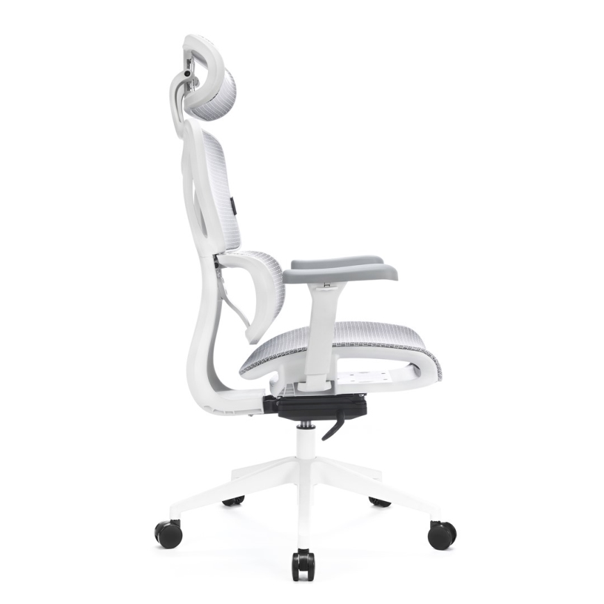 Silla de oficina ergonómica LEVANO gris/blanco/negro
