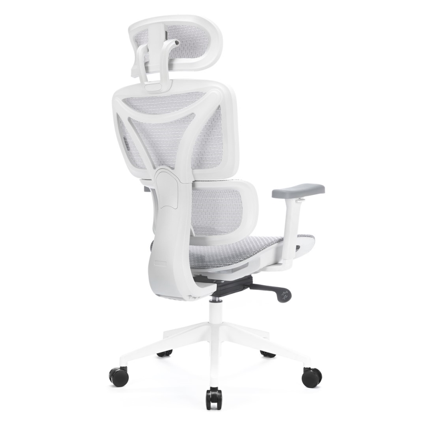 Silla de oficina ergonómica LEVANO gris/blanco/negro