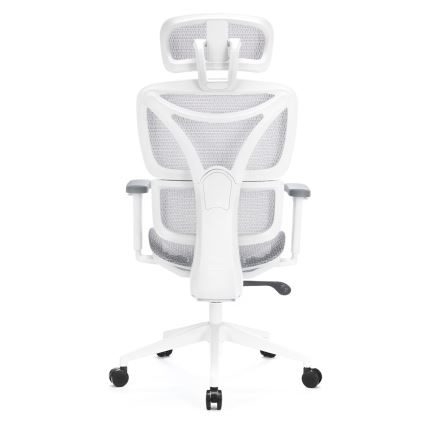 Silla de oficina ergonómica LEVANO gris/blanco/negro