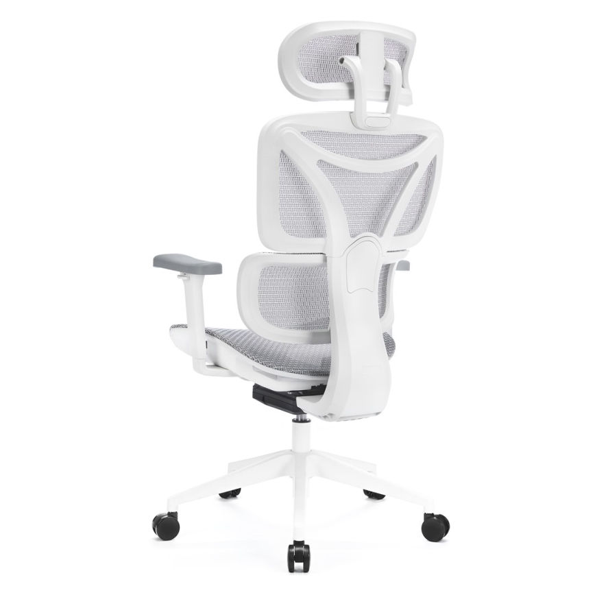 Silla de oficina ergonómica LEVANO gris/blanco/negro