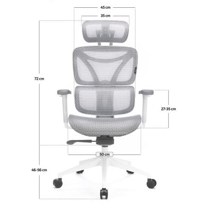 Silla de oficina ergonómica LEVANO gris/blanco/negro