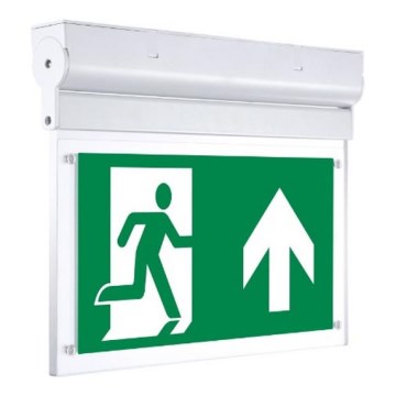 Sinclair - Luz de emergencia LED NOPH LED/2W/230V IK06 verde