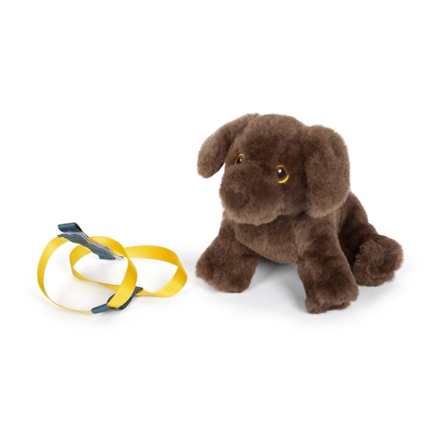 Small Foot - Perro de peluche con kit de cuidados