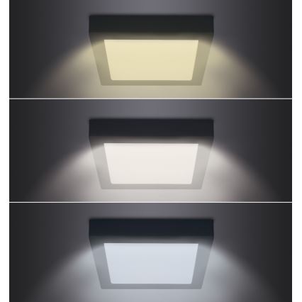 Plafón LED LED/12W/230V 3000/4000/6000K negro angular